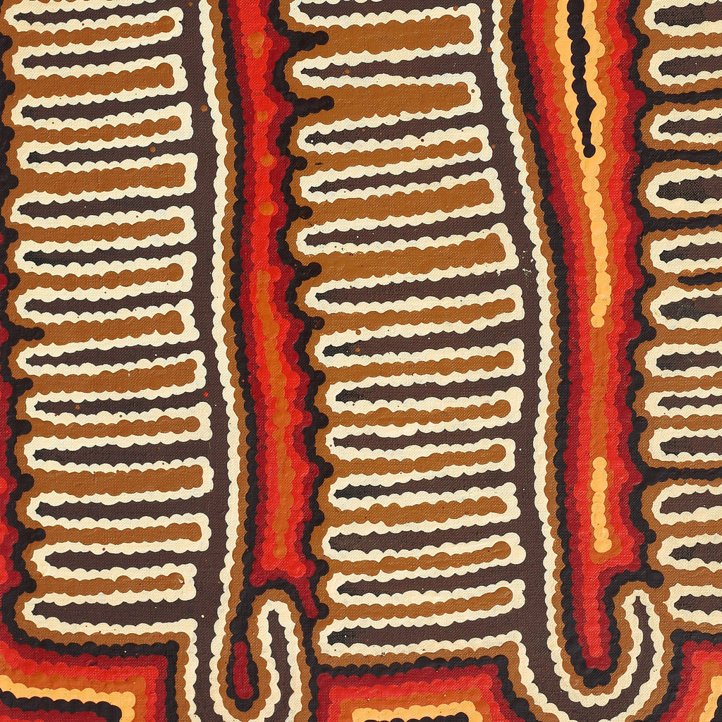 Aboriginal Art by Madeleine Napangardi Dixon, Majardi Jukurrpa (Hairstring Belt/Skirt or Tassel Dreaming) - Mina Mina, 61x46cm - ART ARK®