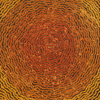 Aboriginal Artwork by Madeleine Napangardi Dixon, Ngalyipi Jukurrpa (Snakevine Dreaming) - Mina Mina, 46x46cm