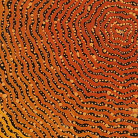 Aboriginal Artwork by Madeleine Napangardi Dixon, Ngalyipi Jukurrpa (Snakevine Dreaming) - Mina Mina, 46x46cm
