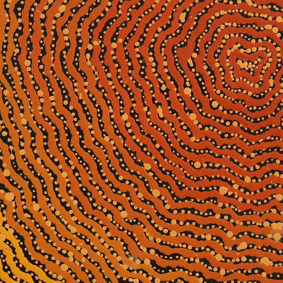 Aboriginal Artwork by Madeleine Napangardi Dixon, Ngalyipi Jukurrpa (Snakevine Dreaming) - Mina Mina, 46x46cm