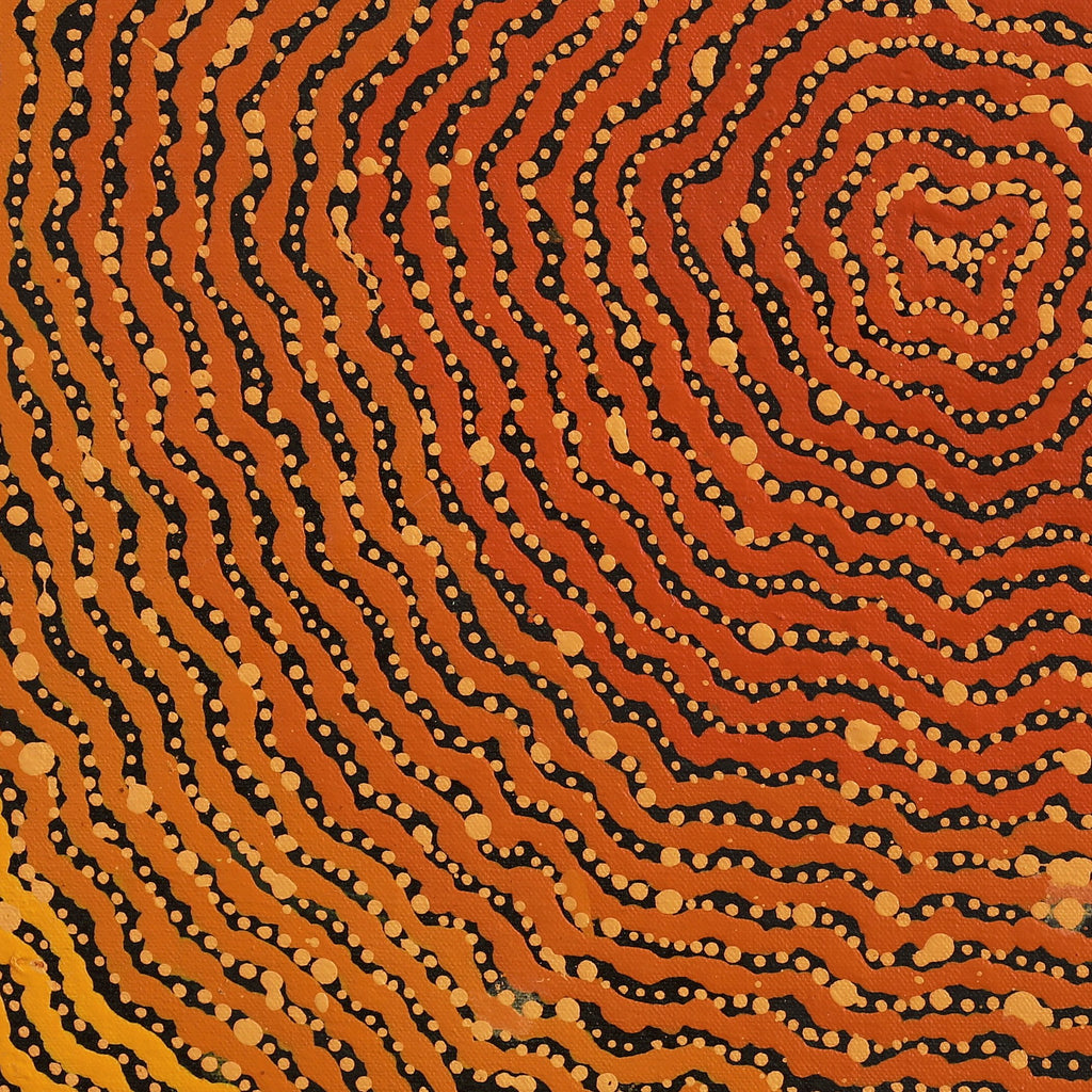 Aboriginal Artwork by Madeleine Napangardi Dixon, Ngalyipi Jukurrpa (Snakevine Dreaming) - Mina Mina, 46x46cm - ART ARK®