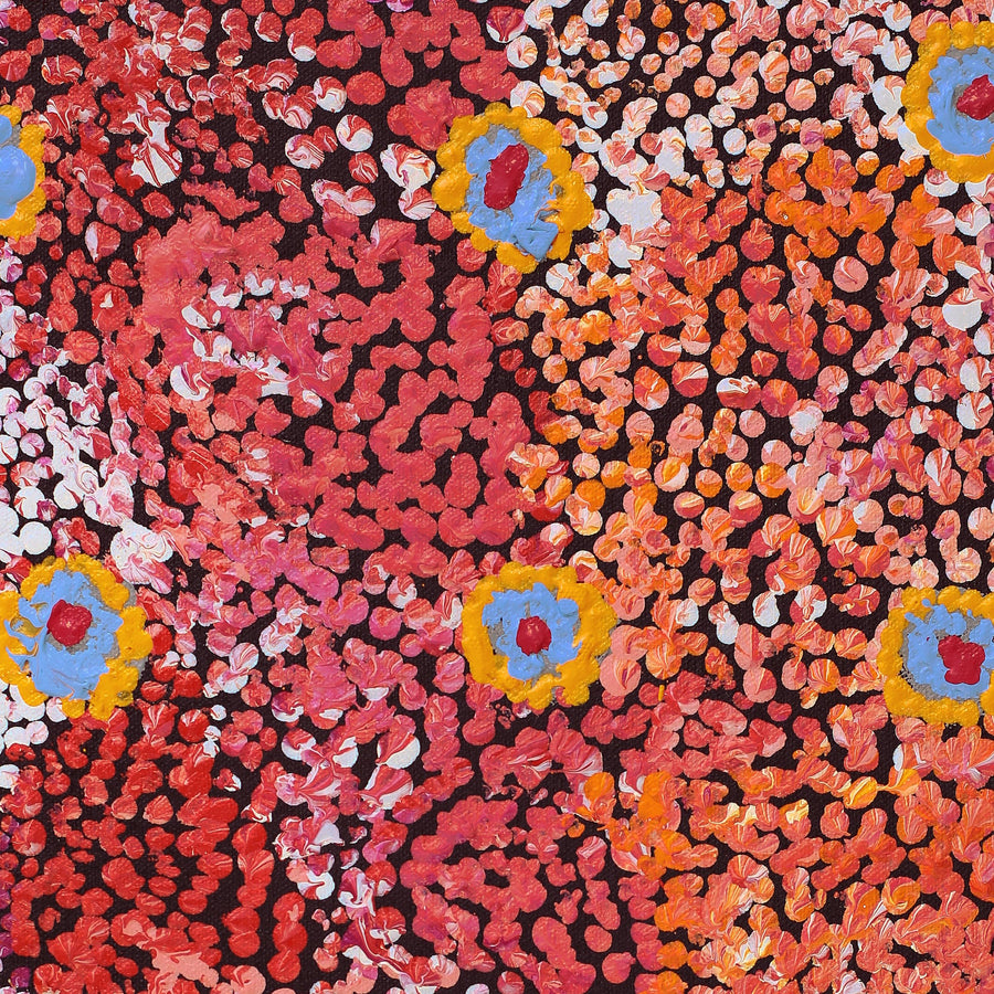Aboriginal Artwork by Magda Nakamarra Curtis, Lappi Lappi Jukurrpa, 46x30cm