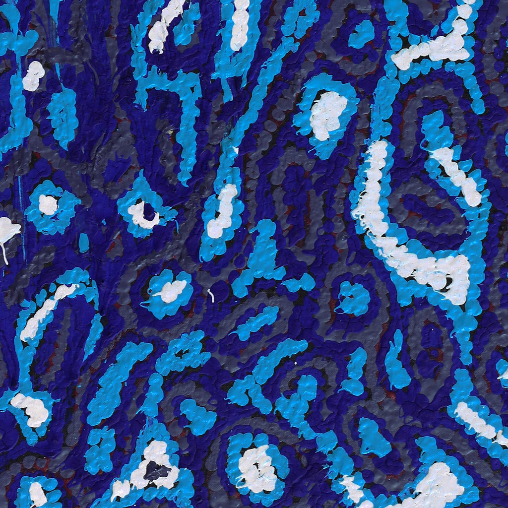 Aboriginal Artwork by Magda Nakamarra Curtis, Lappi Lappi Jukurrpa, 76x30cm
