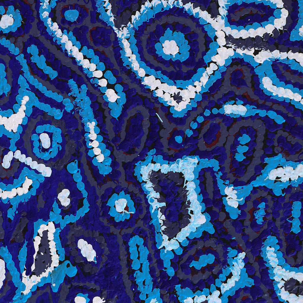 Aboriginal Artwork by Magda Nakamarra Curtis, Lappi Lappi Jukurrpa, 76x30cm