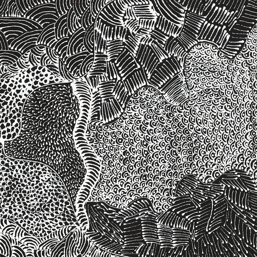 Aboriginal Artwork by Maggie Napangardi Williams, Janmarda Jukurrpa (Bush Onion Dreaming), 61x61cm