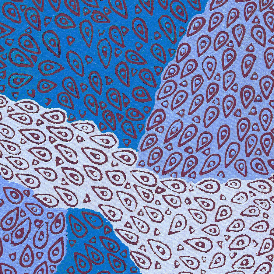 Aboriginal Artwork by Maisie Napurrurla Wayne, Lukarrara Jukurrpa (Desert Fringe-rush Seed Dreaming), 61x46cm