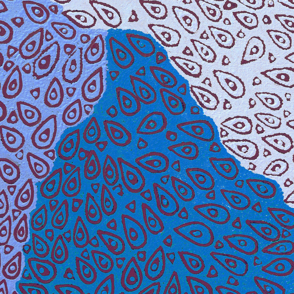 Aboriginal Artwork by Maisie Napurrurla Wayne, Lukarrara Jukurrpa (Desert Fringe-rush Seed Dreaming), 61x46cm