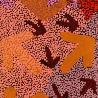 Aboriginal Artwork by Margaret Nangala Gallagher, Yankirri Jukurrpa (Emu Dreaming), 107x30cm