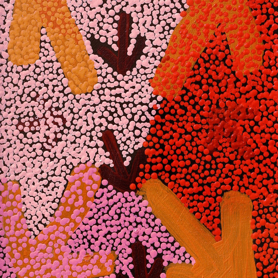 Aboriginal Artwork by Margaret Nangala Gallagher, Yankirri Jukurrpa (Emu Dreaming), 107x30cm
