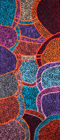 Aboriginal Artwork by Margaret Nangala Gallagher, Yankirri Jukurrpa (Emu Dreaming), 107x46cm