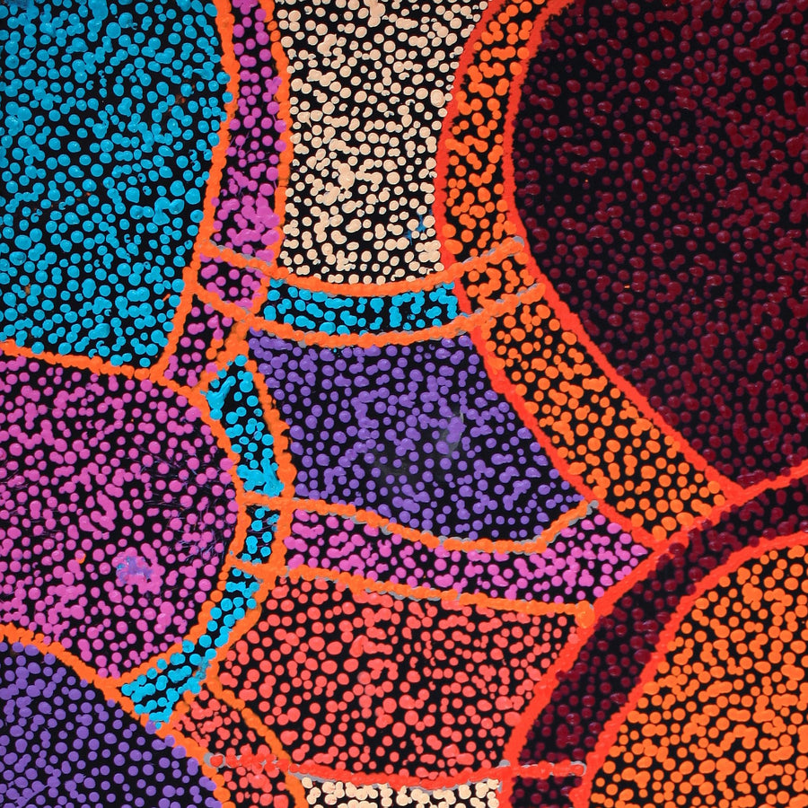 Aboriginal Artwork by Margaret Nangala Gallagher, Yankirri Jukurrpa (Emu Dreaming), 107x46cm