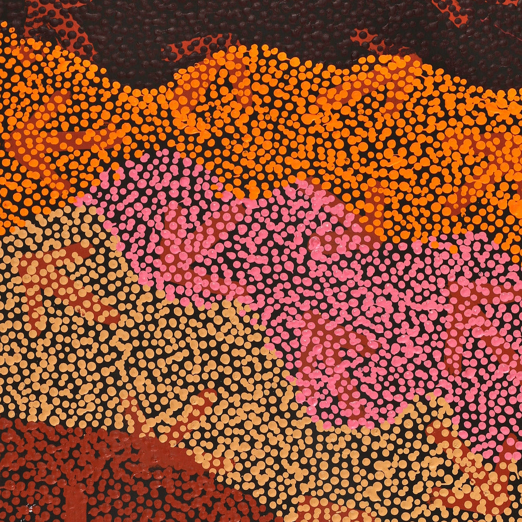Aboriginal Artwork by Margaret Nangala Gallagher, Yankirri Jukurrpa (Emu Dreaming), 107x46cm
