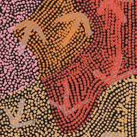 Aboriginal Artwork by Margaret Nangala Gallagher, Yankirri Jukurrpa (Emu Dreaming), 122x30cm