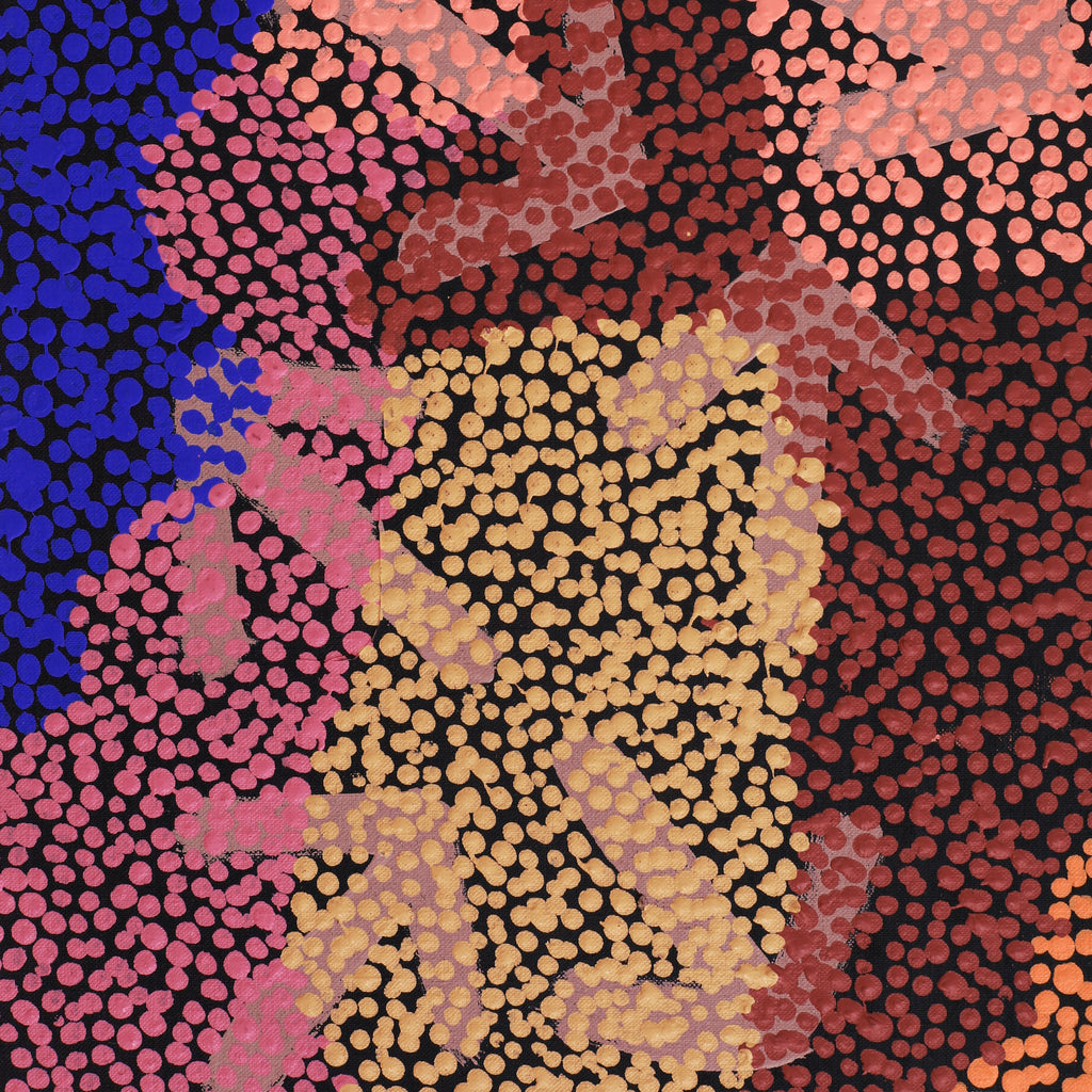 Aboriginal Artwork by Margaret Nangala Gallagher, Yankirri Jukurrpa (Emu Dreaming), 122x30cm