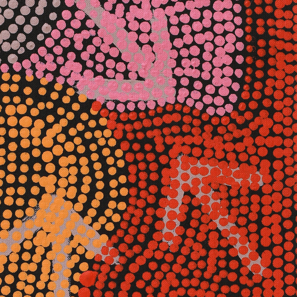 Aboriginal Artwork by Margaret Nangala Gallagher, Yankirri Jukurrpa (Emu Dreaming), 122x30cm