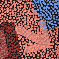 Aboriginal Artwork by Margaret Nangala Gallagher, Yankirri Jukurrpa (Emu Dreaming), 122x30cm