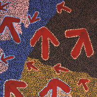 Aboriginal Artwork by Margaret Nangala Gallagher, Yankirri Jukurrpa (Emu Dreaming), 152x61cm