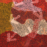 Aboriginal Artwork by Margaret Nangala Gallagher, Yankirri Jukurrpa (Emu Dreaming), 91x46cm
