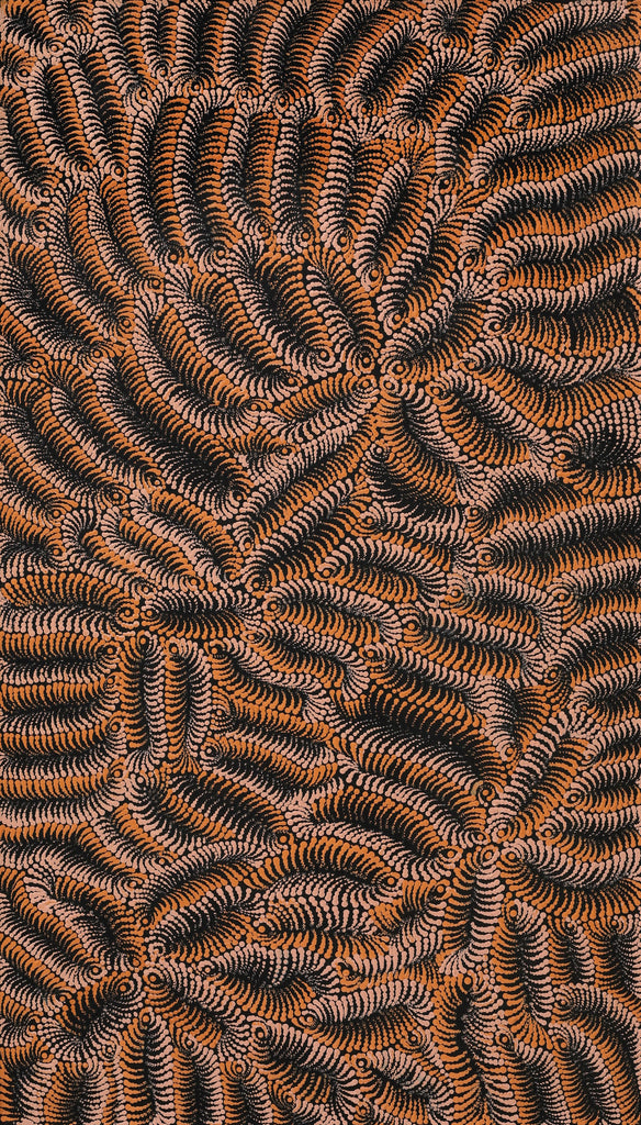 Aboriginal Artwork by Maria Nampijinpa Brown, Pamapardu Jukurrpa (Flying Ant Dreaming) - Warntungurru, 107x61cm