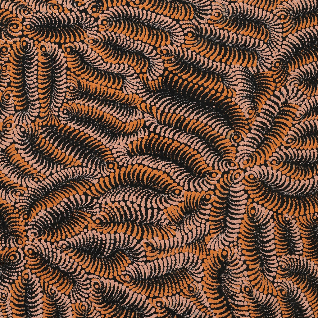 Aboriginal Artwork by Maria Nampijinpa Brown, Pamapardu Jukurrpa (Flying Ant Dreaming) - Warntungurru, 107x61cm