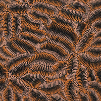 Aboriginal Artwork by Maria Nampijinpa Brown, Pamapardu Jukurrpa (Flying Ant Dreaming) - Warntungurru, 107x61cm