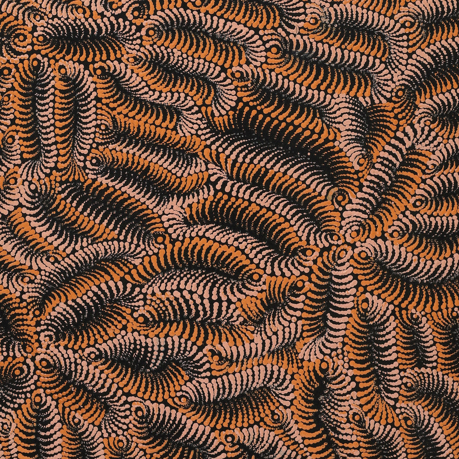 Aboriginal Artwork by Maria Nampijinpa Brown, Pamapardu Jukurrpa (Flying Ant Dreaming) - Warntungurru, 107x61cm