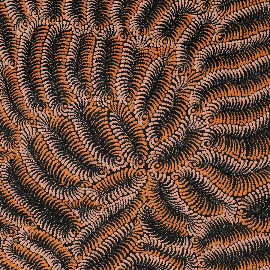 Aboriginal Artwork by Maria Nampijinpa Brown, Pamapardu Jukurrpa (Flying Ant Dreaming) - Warntungurru, 107x61cm