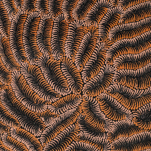 Aboriginal Artwork by Maria Nampijinpa Brown, Pamapardu Jukurrpa (Flying Ant Dreaming) - Warntungurru, 107x61cm - ART ARK®