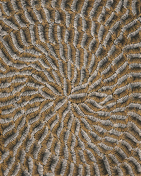 Aboriginal Artwork by Maria Nampijinpa Brown, Pamapardu Jukurrpa (Flying Ant Dreaming) - Warntungurru, 76x61cm