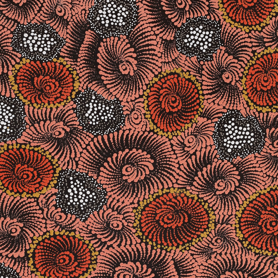 Aboriginal Artwork by Maria Nampijinpa Brown, Pamapardu Jukurrpa (Flying Ant Dreaming) - Warntungurru, 91x61cm