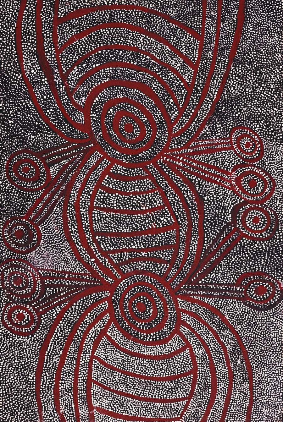 Aboriginal Artwork by Marshall Japangardi Poulson, Pikilyi Jukurrpa (Vaughan Springs Dreaming), 91x61cm