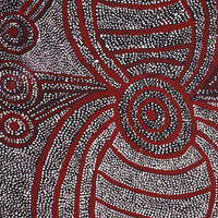 Aboriginal Artwork by Marshall Japangardi Poulson, Pikilyi Jukurrpa (Vaughan Springs Dreaming), 91x61cm