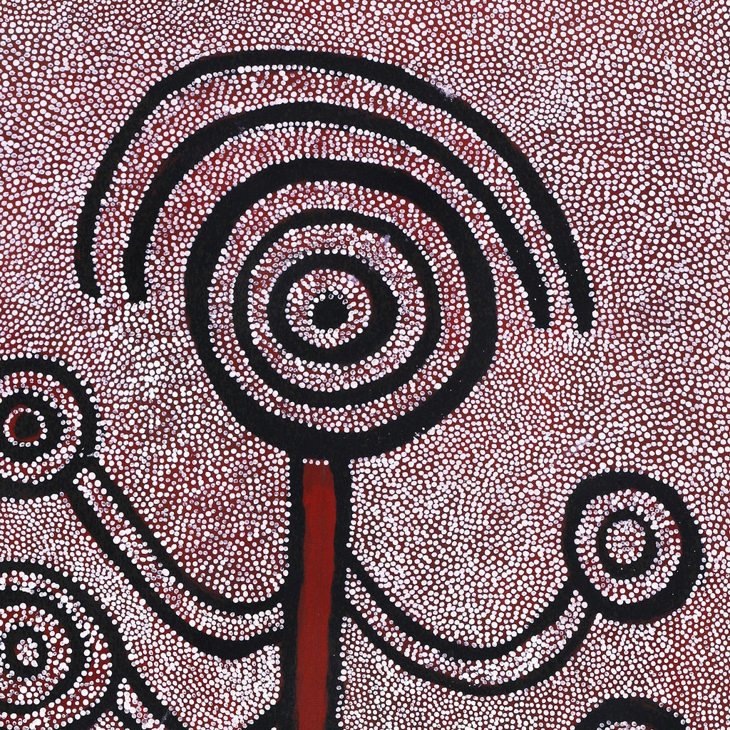 Aboriginal Artwork by Marshall Japangardi Poulson, Yurrampi Jukurrpa (Honey Ant Dreaming), 122x61cm