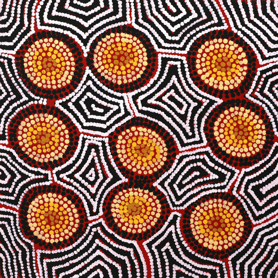 Aboriginal Artwork by Mary Anne Nampijinpa Hudson, Pikilyi Jukurrpa (Vaughan Springs Dreaming), 30x30cm