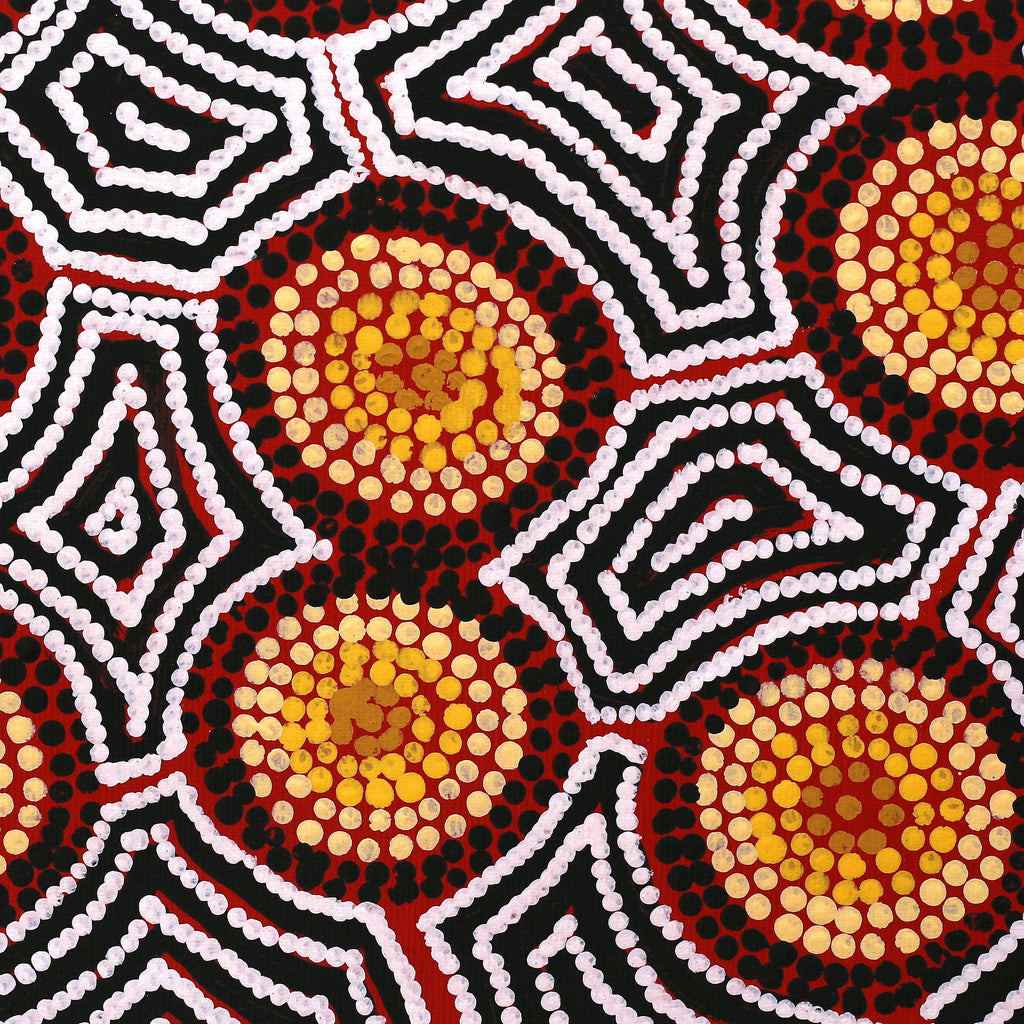 Aboriginal Artwork by Mary Anne Nampijinpa Hudson, Pikilyi Jukurrpa (Vaughan Springs Dreaming), 30x30cm