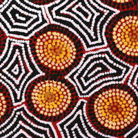 Aboriginal Artwork by Mary Anne Nampijinpa Hudson, Pikilyi Jukurrpa (Vaughan Springs Dreaming), 30x30cm