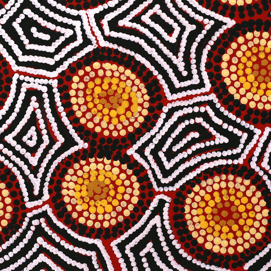 Aboriginal Artwork by Mary Anne Nampijinpa Hudson, Pikilyi Jukurrpa (Vaughan Springs Dreaming), 30x30cm