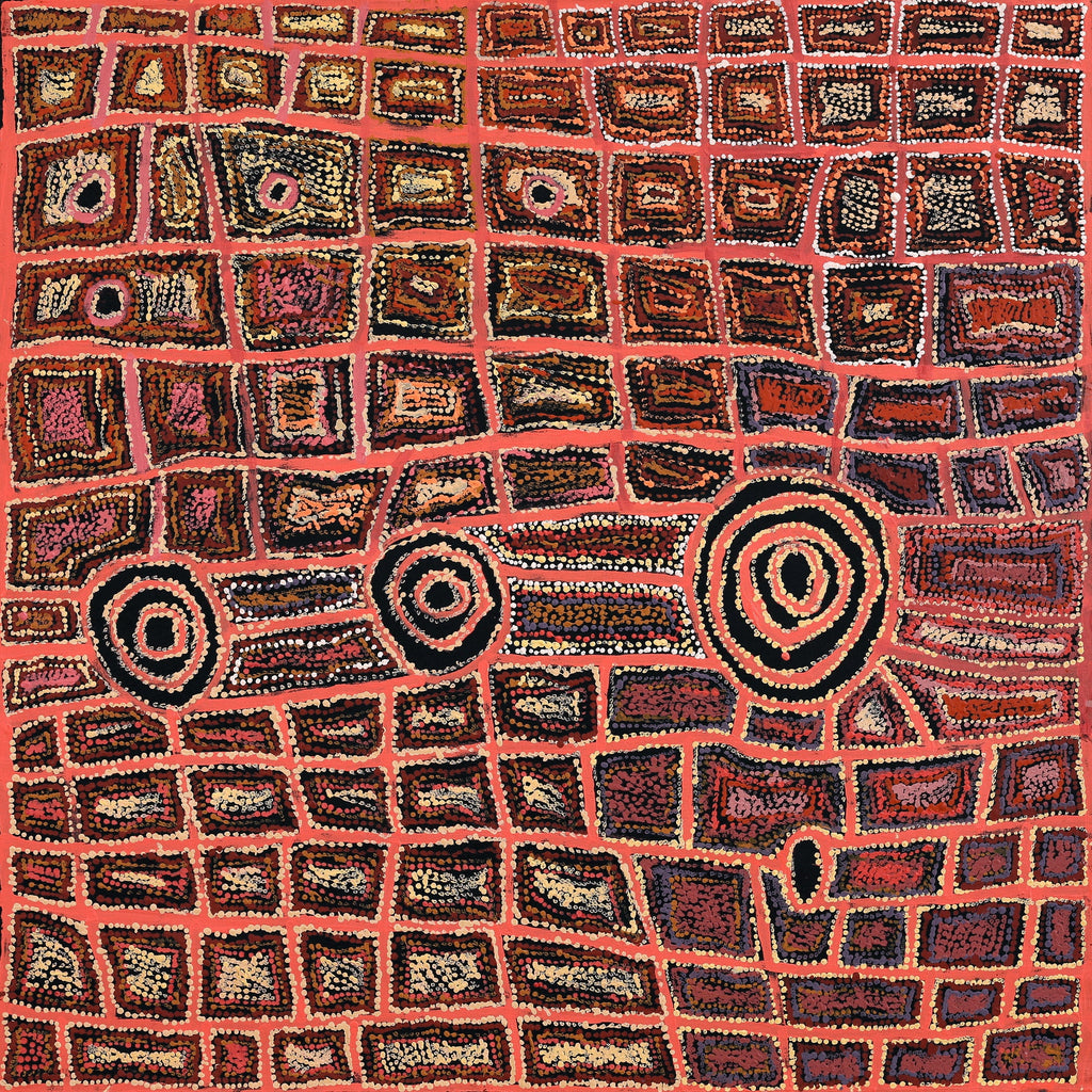 Aboriginal Artwork by Mary Napangardi Brown, Mina Mina Jukurrpa, 107x107cm