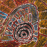 Aboriginal Artwork by Mary Napangardi Brown, Mina Mina Jukurrpa - Ngalyipi, 107x91cm