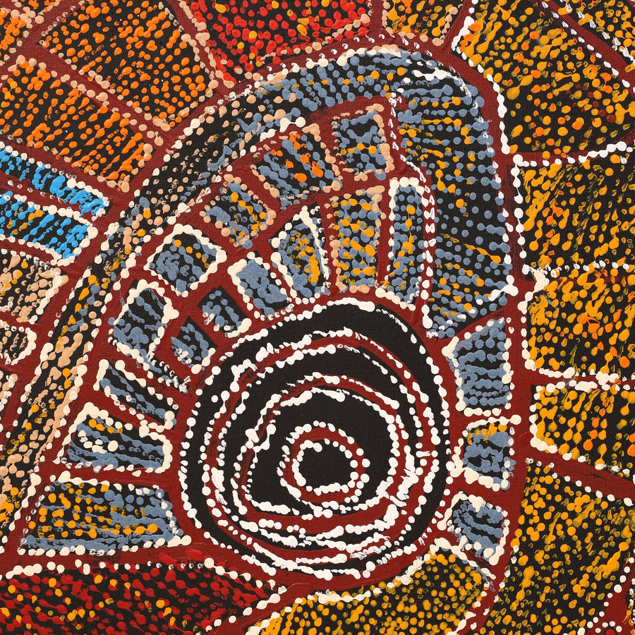 Aboriginal Artwork by Mary Napangardi Brown, Mina Mina Jukurrpa - Ngalyipi, 107x91cm