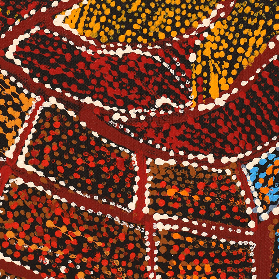 Aboriginal Artwork by Mary Napangardi Brown, Mina Mina Jukurrpa - Ngalyipi, 107x91cm