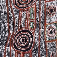 Aboriginal Artwork by Mary Napangardi Brown, Mina Mina Jukurrpa - Ngalyipi, 122x61cm