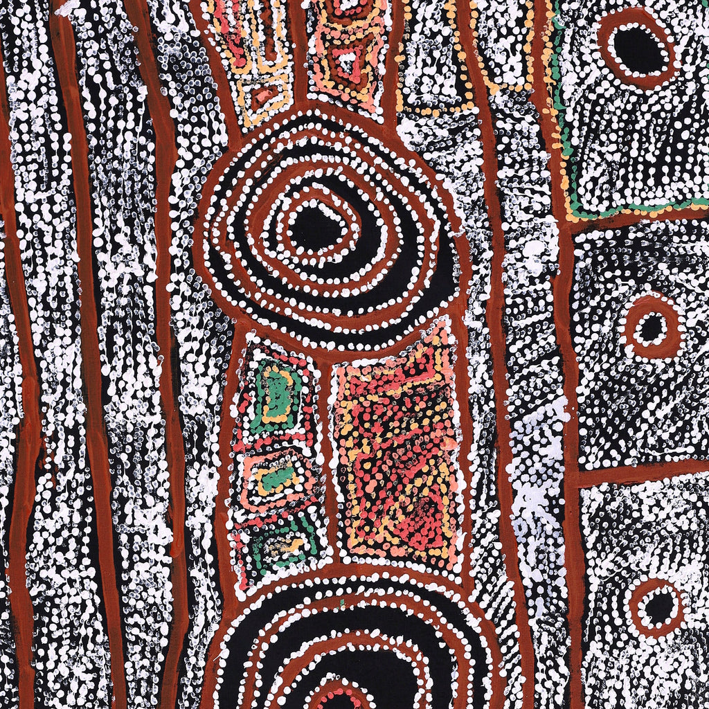 Aboriginal Artwork by Mary Napangardi Brown, Mina Mina Jukurrpa - Ngalyipi, 122x61cm