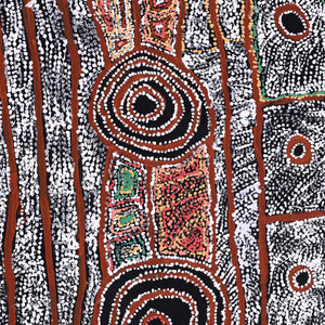 Aboriginal Artwork by Mary Napangardi Brown, Mina Mina Jukurrpa - Ngalyipi, 122x61cm - ART ARK®