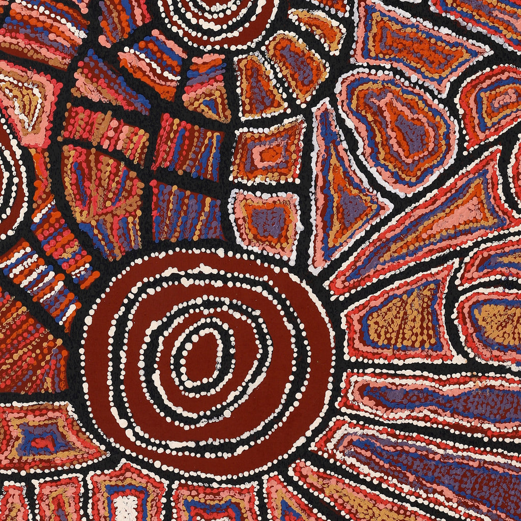 Aboriginal Artwork by Mary Napangardi Brown, Mina Mina Jukurrpa - Ngalyipi, 122x76cm - ART ARK®