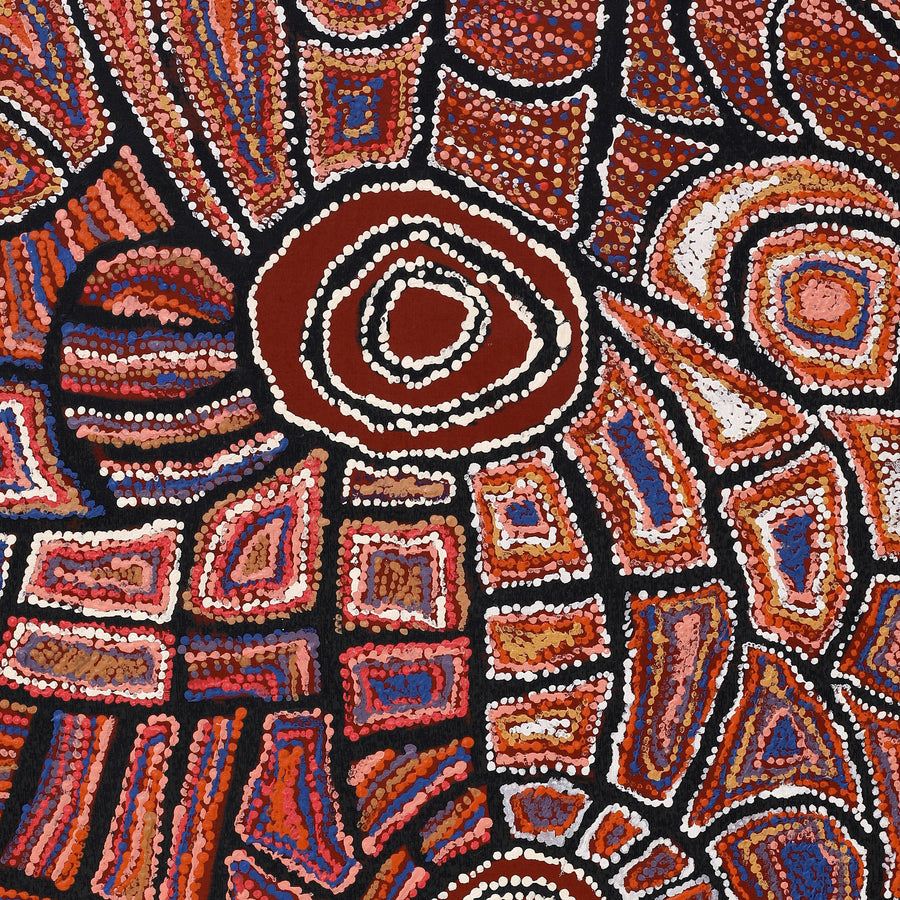 Aboriginal Artwork by Mary Napangardi Brown, Mina Mina Jukurrpa - Ngalyipi, 122x76cm