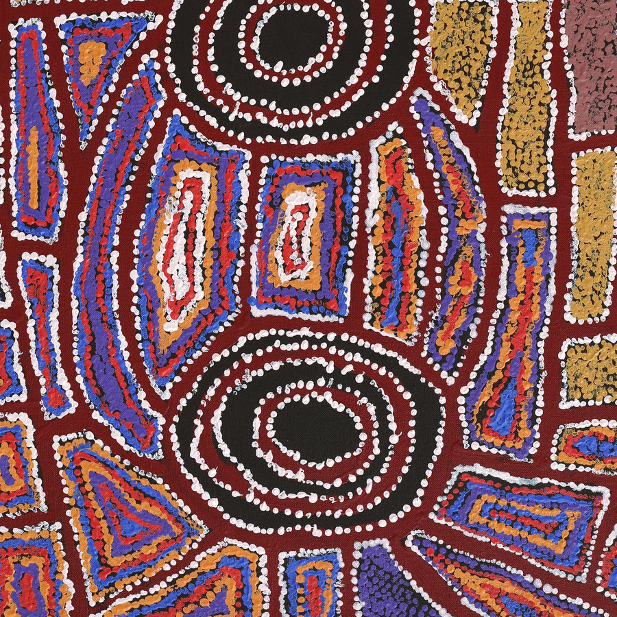 Aboriginal Artwork by Mary Napangardi Brown, Mina Mina Jukurrpa - Ngalyipi, 76x46cm