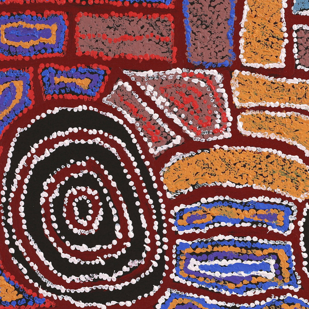 Aboriginal Artwork by Mary Napangardi Brown, Mina Mina Jukurrpa - Ngalyipi, 76x46cm