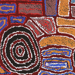 Aboriginal Art by Mary Napangardi Brown, Mina Mina Jukurrpa - Ngalyipi, 76x46cm - ART ARK®