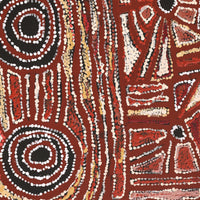 Aboriginal Artwork by Mary Napangardi Brown, Mina Mina Jukurrpa - Ngalyipi, 76x61cm